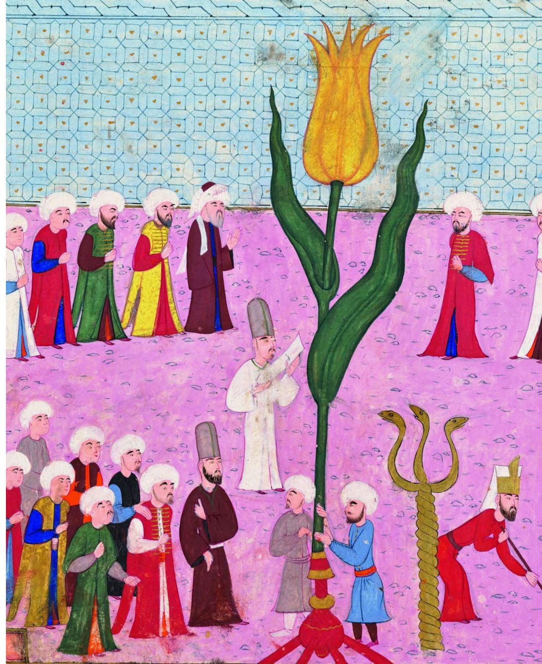 The tulip’s journey